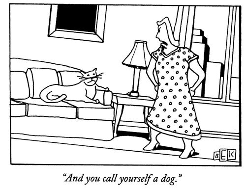 "And you call yourself a dog."