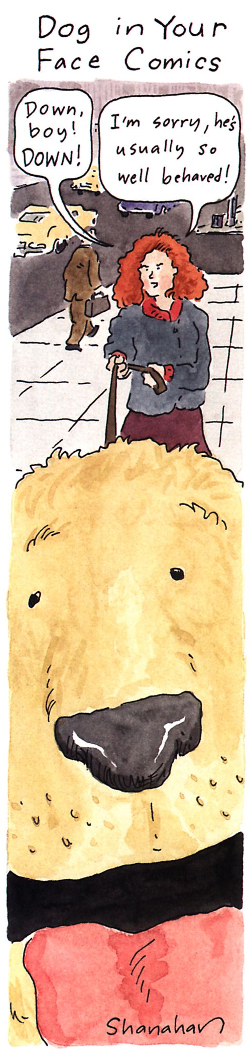 Dog In Your Face Comics