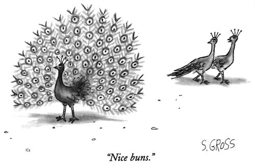 "Nice buns."
