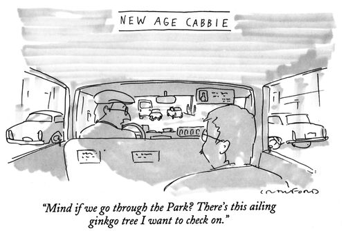 "Mind if we go through the Park? There's this ailing ginkgo tree I want to check on."