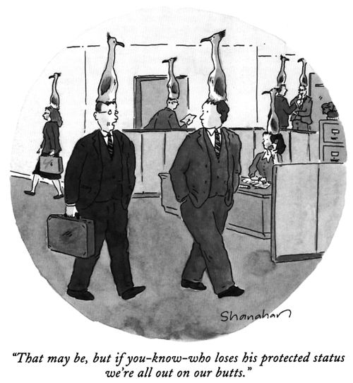 "That may be, but if you-know-who loses his protected status we're all out on our butts."