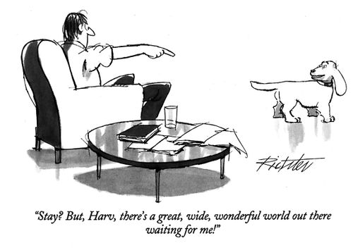 "Stay? But, Harv, there's a great, wide, wonderful world out there waiting for me!"