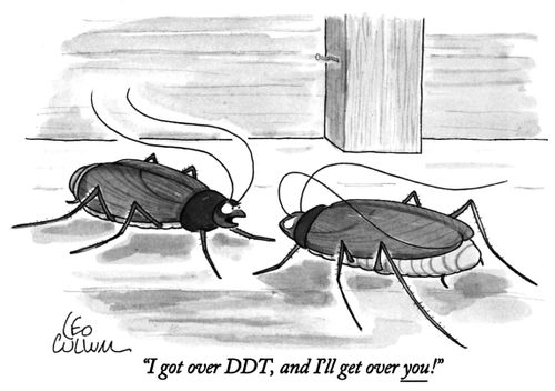 "I got over DDT, and I'll get over you!"