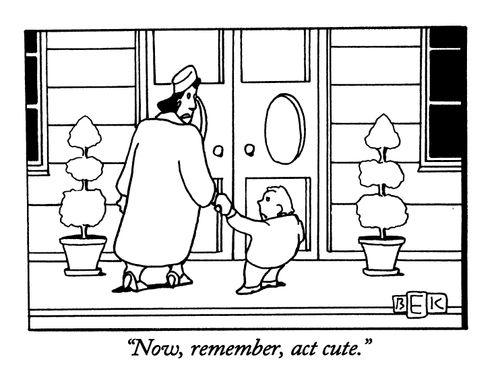 "Now, remember, act cute."