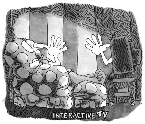 INTERACTIVE TV