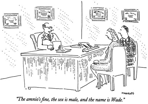 "The amnio's fine, the sex is male, and the name is Wade."