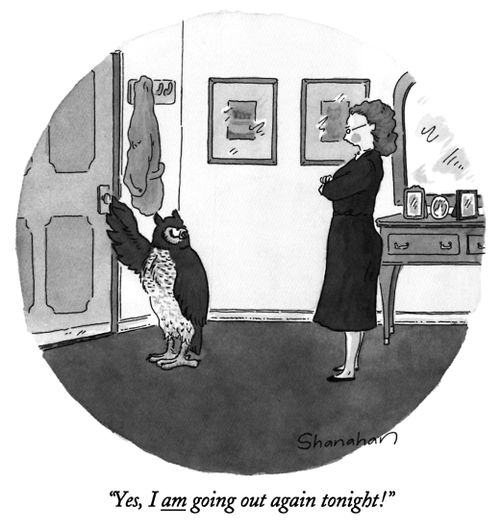 "Yes, I am going out again tonight!"