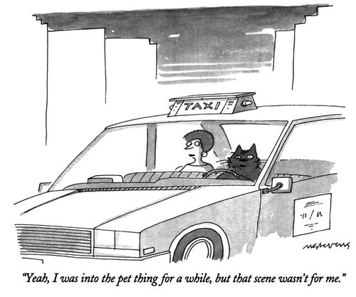 "Yeah, I was into the pet thing for a while, but that scene wasn't for me."