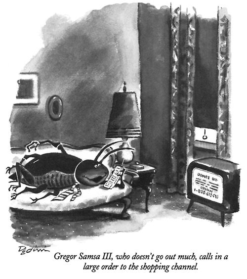 Gregor Samsa III, who doesn't go out much, calls in a large order to the shopping channel.