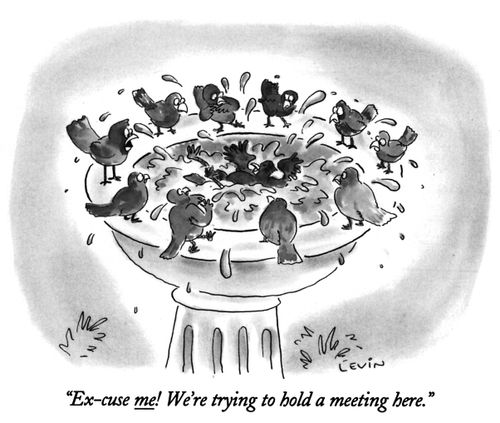 "Ex-cuse me! We're trying to hold a meeting here."