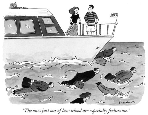 "The ones just out of law school are especially frolicsome."