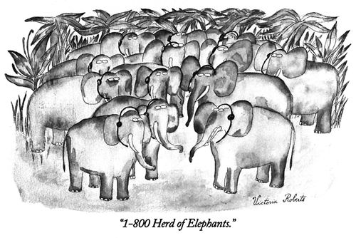 "1-800 Herd of Elephants."