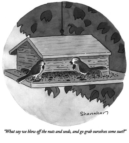 "What say we blow off the nuts and seeds, and go grab ourselves some suet?"