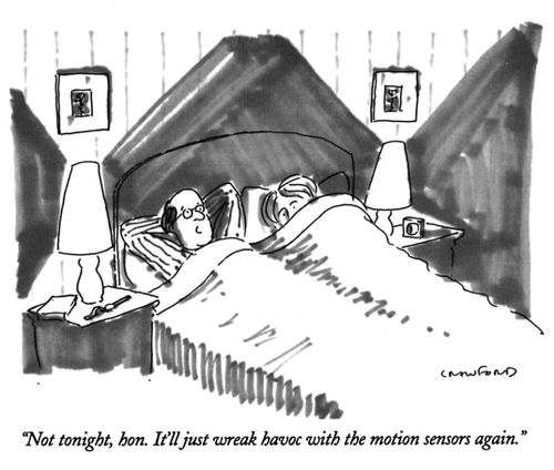 "Not tonight, hon. It'll just wreak havoc with the motion sensors again."