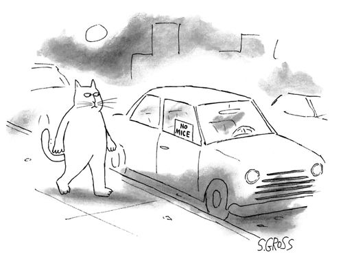 No Mice