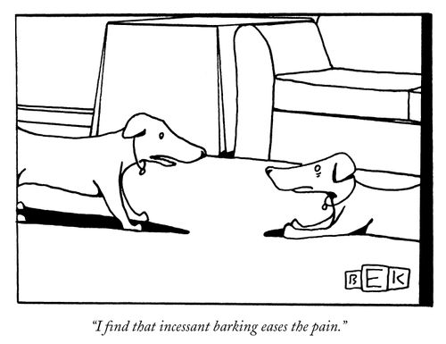 "I find that incessant barking eases the pain."
