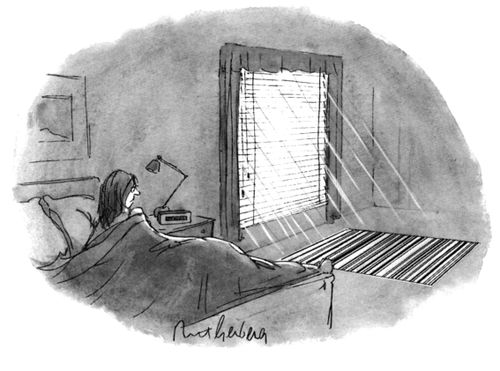 A woman sees a barcode on the floor through a venetian blind.