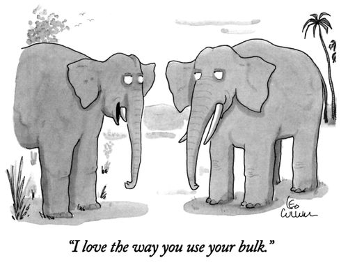 "I love the way you use your bulk."