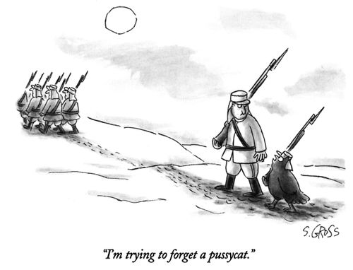"I'm trying to forget a pussycat."