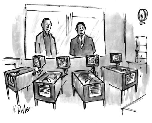 Newborn's TV.