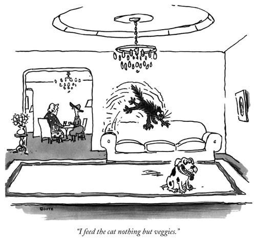 "I feed the cat nothing but veggies."
