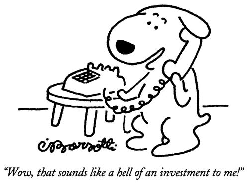 "Wow, that sounds like a hell of an investment to me!"