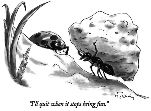 "I'll quit when it stops being fun."