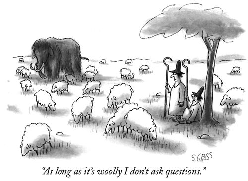 "As long as it's woolly I don't ask questions."
