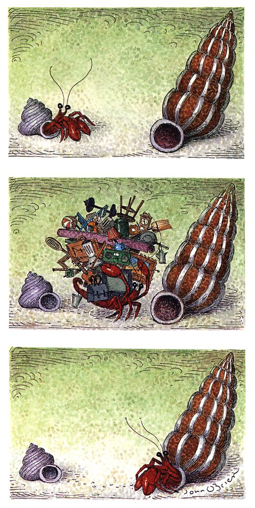 A hermit crab moves home