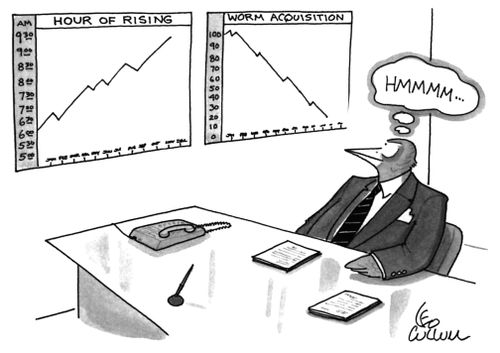 Hour of rising vs worm acquisition.