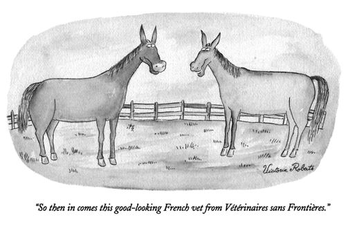 "So then in comes this good-looking French vet from Vétérinaires sans Frontirères." 