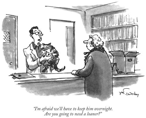 "I'm afraid we'll have to keep him overnight. Are you going to need a loaner?"