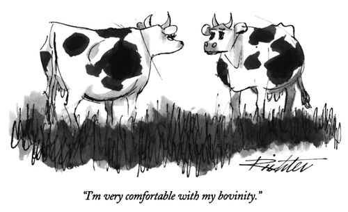 "I am very comfortable with my bovinity."