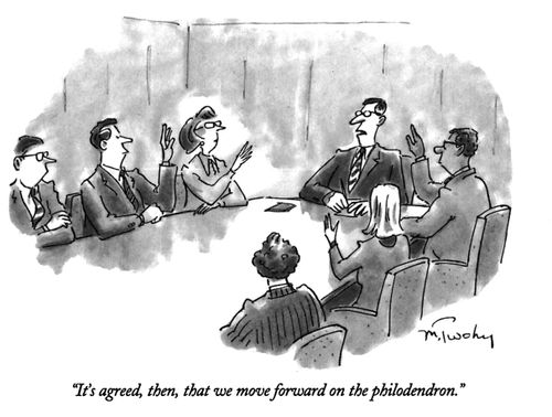 "It's agreed, then, that we move forward on the philodendron."
