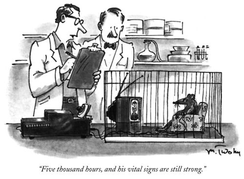 "Five thousand hours, and his vital signs are still strong."