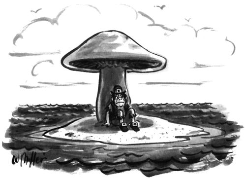 A leprechaun sits under a mushroom.