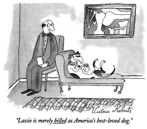 "Lassie is merely billed as America's best-loved dog."