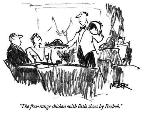 "The free-range chicken with little shoes by Reebok."