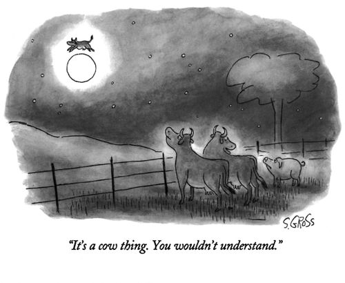 "It's a cow thing. You wouldn't understand."