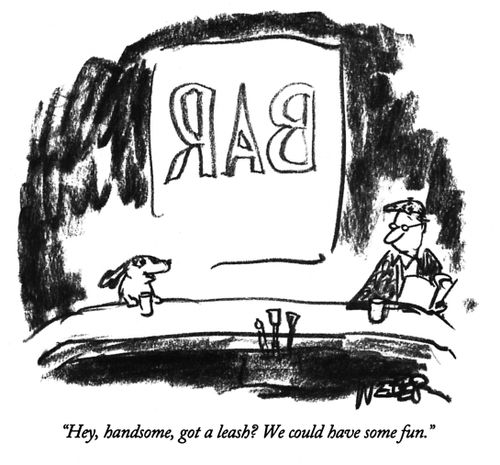 "Hey, handsome got a leas? We could have some fun."