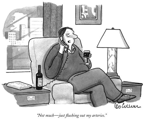 "Not much - just flushing out my arteries."