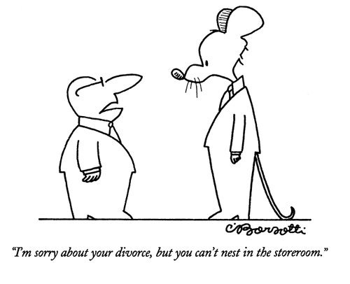 "I'm sorry about your divorce, but you can't nest in the storeroom."