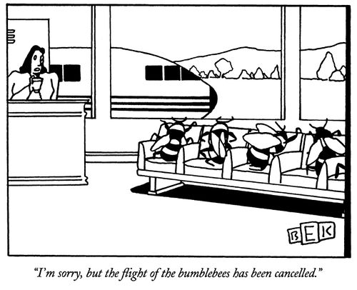 "I'm sorry, but the flight of the bumblebees has been cancelled."