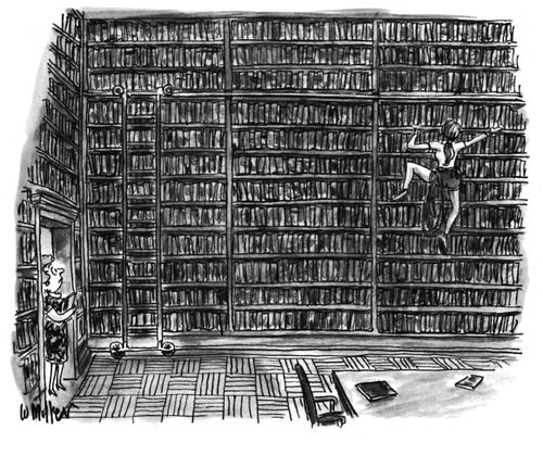 Librarian Watches As Woman Climbs The Bookshelves