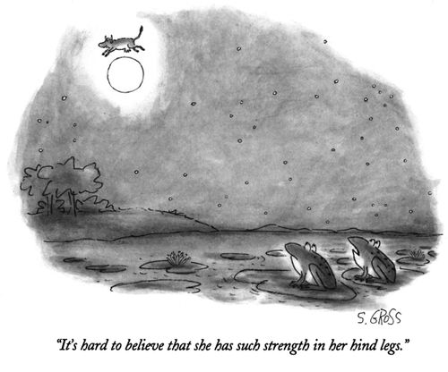 "It's hard to believe that she has such strength in her hind legs."