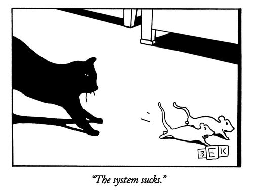 "The system sucks."