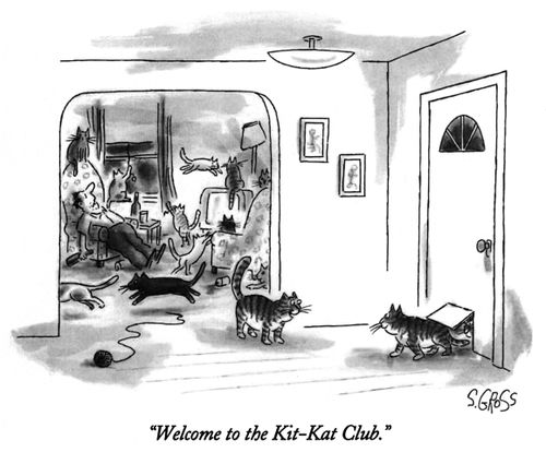 "Welcome to the Kit-Kat Club"