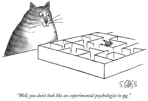 "Well, you don't look like an experimental psychologist to me."