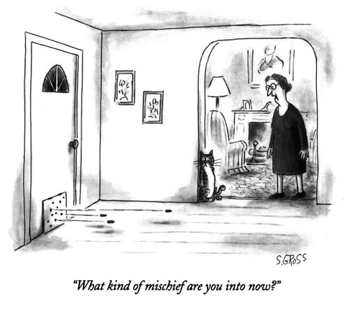 "What kind of mischief are you into now?"