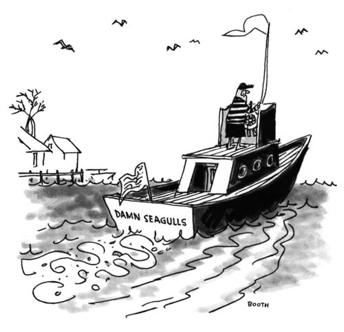 Damn Seagulls